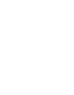 Noah Dach & Bau Logo